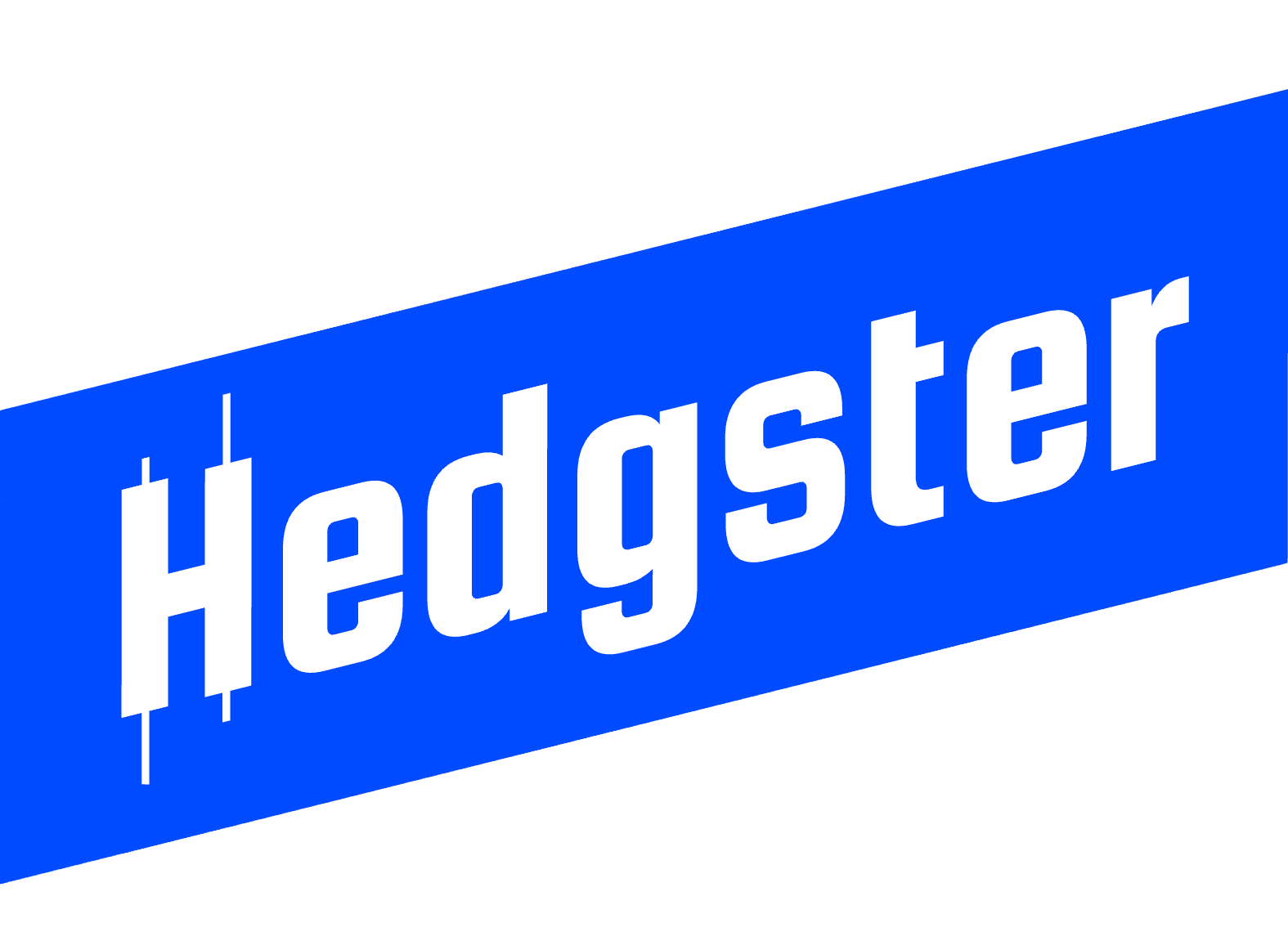 Hedgster: Track everything. Hedge it smart.